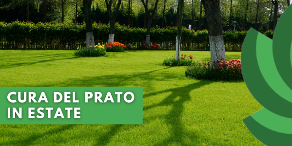 GIARDINAGGIO IN ESTATE: TRE CONSIGLI PER UN PRATO PERFETTO
